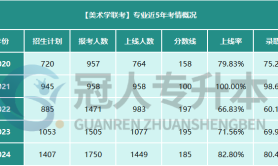 河北专升本考试美术学联考专业招生人数 分数线
