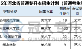 2025年河北专升本美术学专业招生学校有哪些?