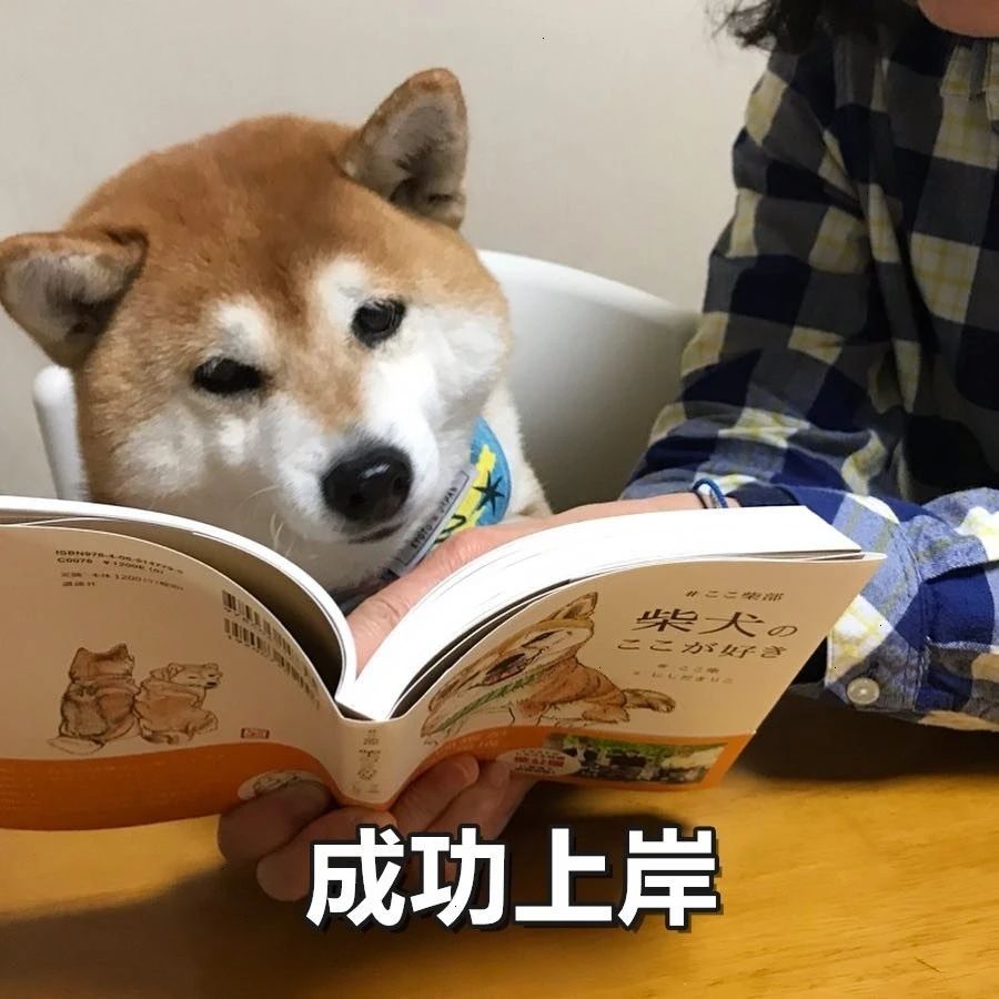 你要的院校排名来了🥳24年河北专升本最低投档分公布!填报志愿前必存!