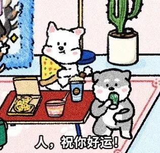 避开这些坑!河北专升本志愿填报全流程你收好,手把手教你学会填志愿🧐