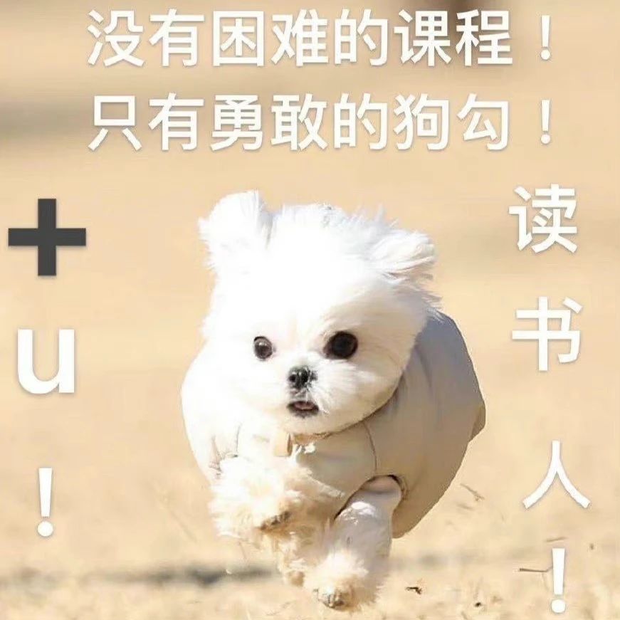 提问!一个完美且充实的本科生活是什么样的?提前规划起来哟🥳