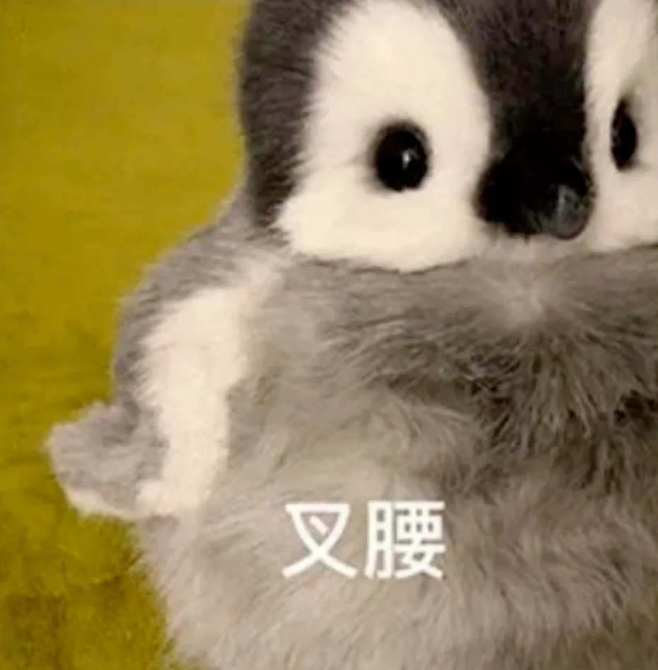 提问!一个完美且充实的本科生活是什么样的?提前规划起来哟🥳