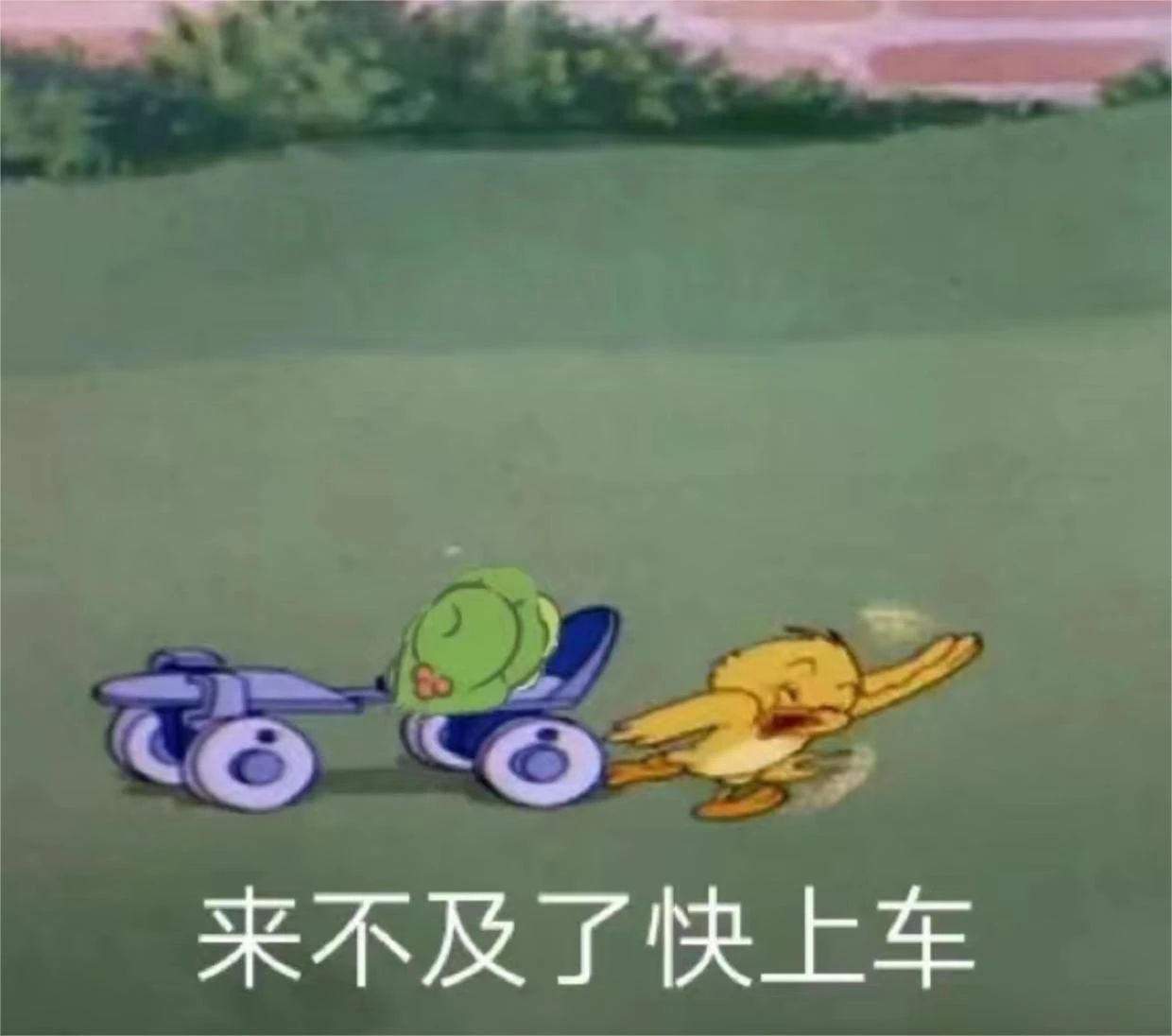 河北专升本各专业最高分!来吧,努力的方向在这里🥳