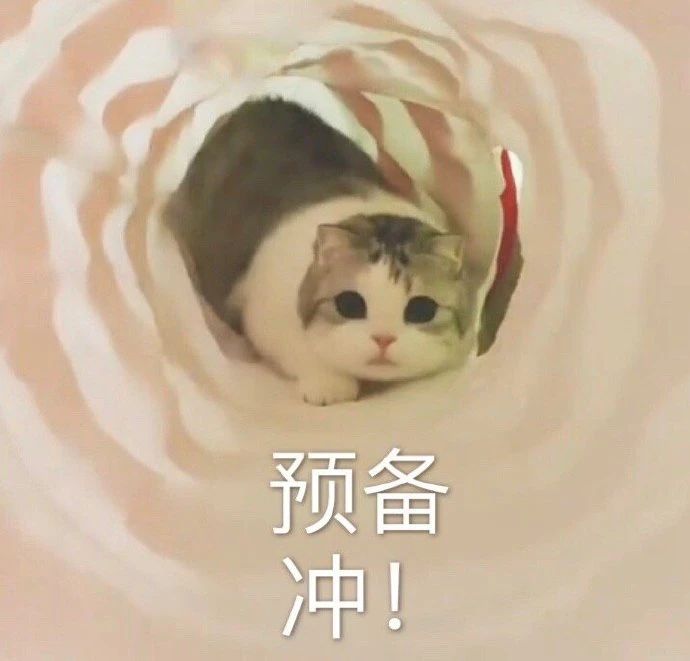 25年河北专升本一半专业分控线连续变化,“变革”后的考试会更难吗?
