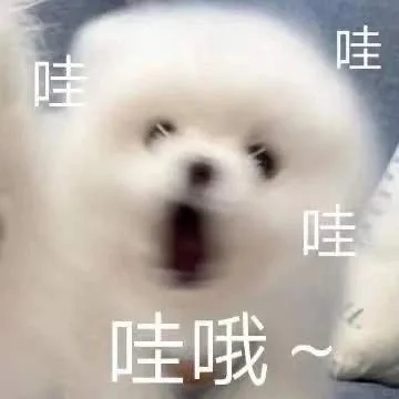 对专科生来说最有利的13所院校?看看有没有机会啊🥰