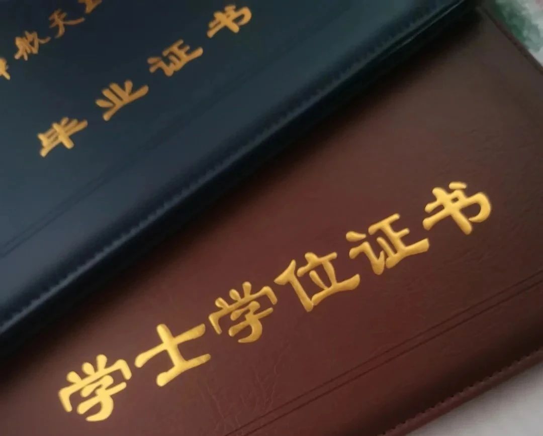 纠结要不要上民办?先搞懂这层逻辑:学历背后的机会比标签更重要