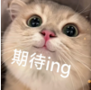 河北专升本有望扩招?升本人的春天要来了!