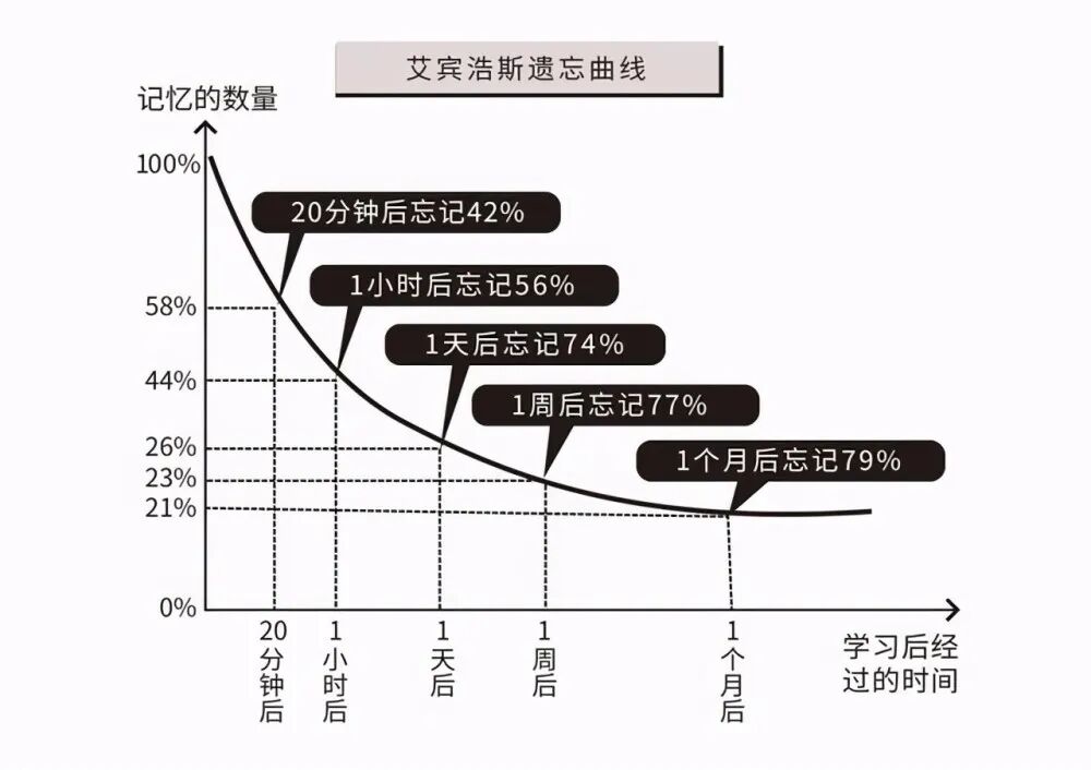 知识点背不过?这几种高效记忆法,拯救你的“金鱼脑”