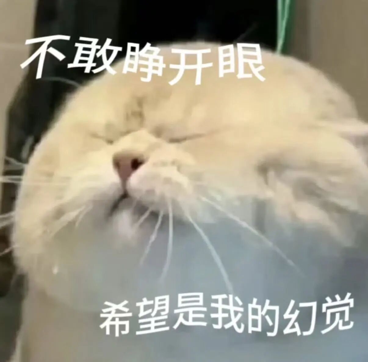 这些专升本真相,越早知道越好!